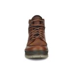 ECCO mens Track 25 High Gore-tex Hiking Boot, Bison/Bison Oil Nubuck, 10-10.5 US