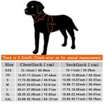 JUXZH Truelove Dog Cooling Vest Harness Cooler Jacket with Adjustable Zipper for Outdoor Hunting Training and Camping X-Small (Pack of 1)